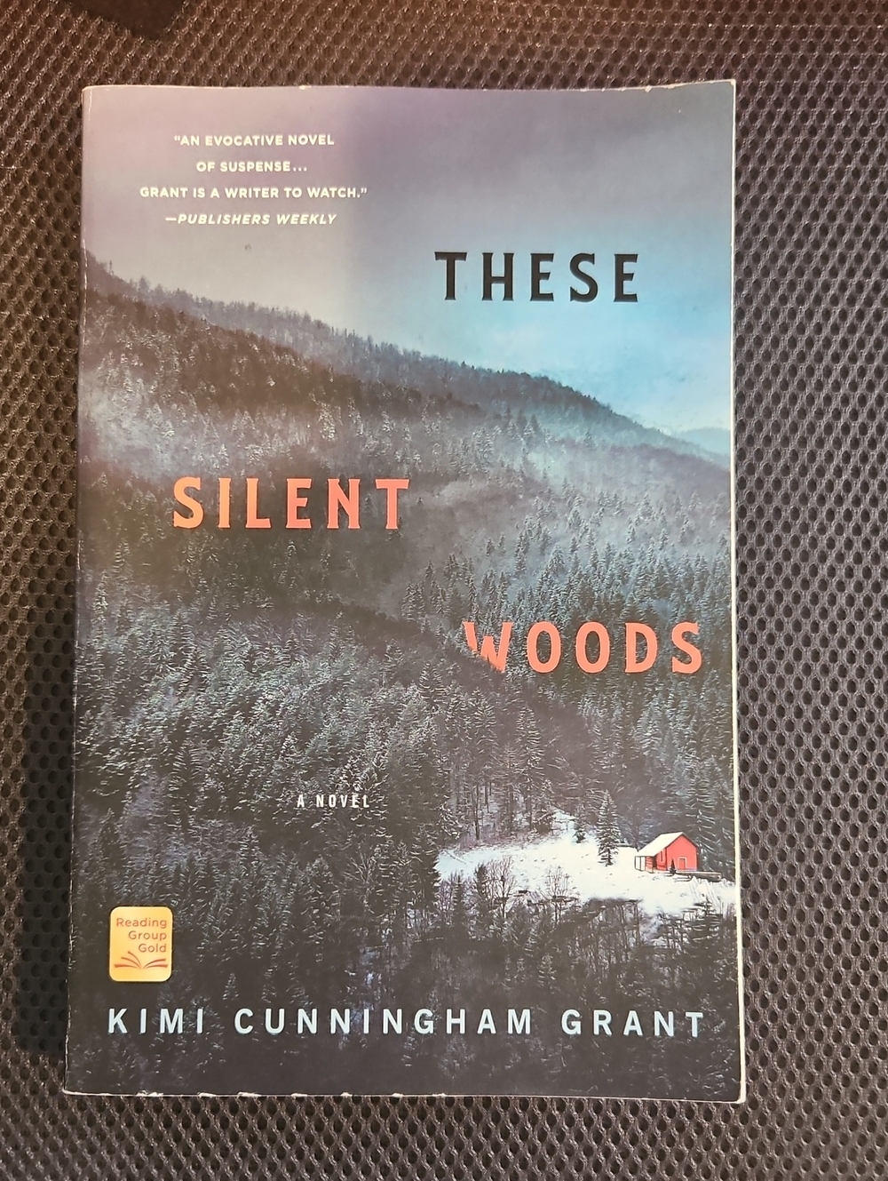 These Silent Woods Paperback Book - Green/Blue Cover